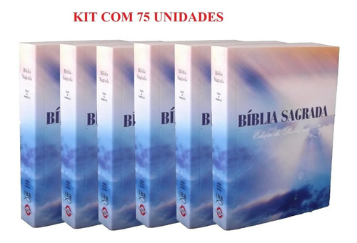 Caixa 75 Biblias Sagrada Evangelismo Doações Pequena Atacado