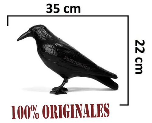 Cuervo Raven Ahuyenta Espanta Palomas Original - Liniers