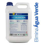 Algicida Choque Elimina Algas Piscina Verde 5l Policlean