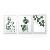 Kit 3 Quadros Decorativos C/ Vidro Folhagem Plantas Jardim