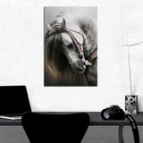 Cuadro Moderno  Canvas Caballo Frisón Blanco  80x120cm