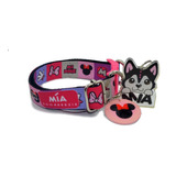 2 Combos Placa Talla M - 1 Combo Talla L Collar Y Placa