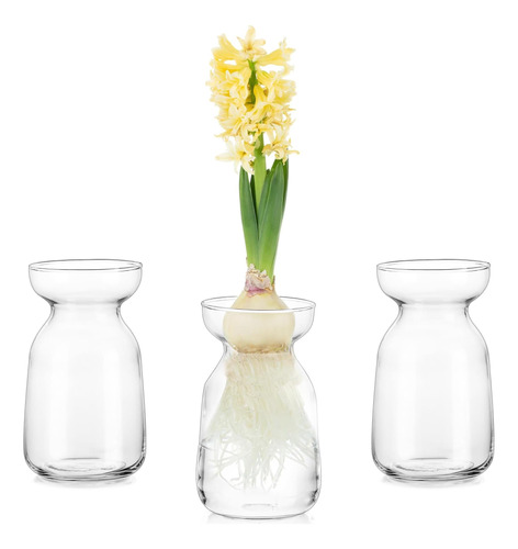 Vasos De Vidro Pequenos Glasseam Para Flores: Conjunto De 3 