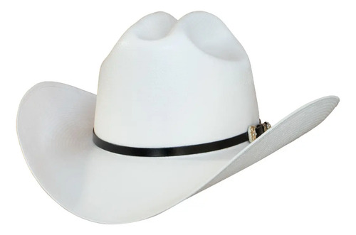 Sombrero Dieztro 1000x Estilo Joan Sebastian Shantung | Meses sin interés