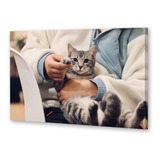 Cuadro Canvas Gato Con Collar Antipulgas Veterinaria P2