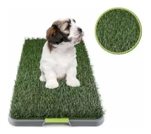 Oferta! Baño Perros Gato Potty Ecologico Grande Xxl Lavable