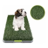 Oferta! Baño Perros Gato Potty Ecologico Grande Xxl Lavable