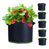 Bolsas Pack 5 Maceteros Geotextil 18 Litros Plantas