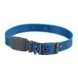 Collar Para Perro Mediano Luz Led Azul Resistente Al Agua