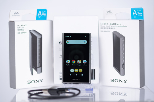 Sony Walkman Nw-a106 Reproductor Hi Res Color Gris