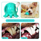 Juguetes Para Perros Pelotas De Limpieza De Dientes De Masco