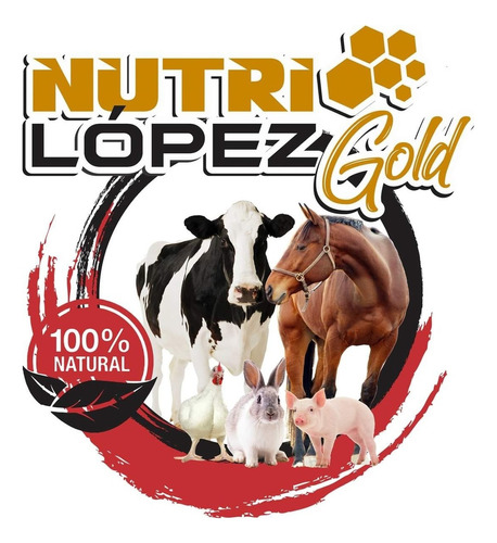 Minerales Para Ganado Nutrilopez Gold 40kg