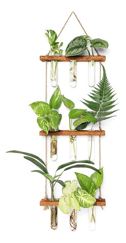 Tubos De Propagación Plantas Colgar Pared Plantas, 9 Tubos