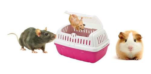 Transportadora Cobayo Hamster Loro Avion Moderna Small Nueva