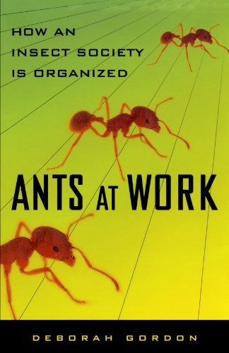 Ants At Work How An Insect Society Is Organized