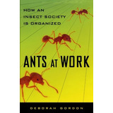 Ants At Work How An Insect Society Is Organized