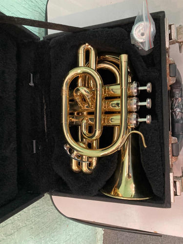 Trompete Pocket Weril Ep 4072