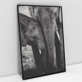 Quadro Em Canvas Família Elefante Moldura Preta 120x80cm