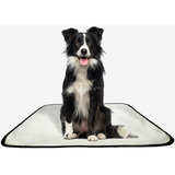 Tapete Para Pets Higiênico Em Oferta 1 Un M 60x80 Cm