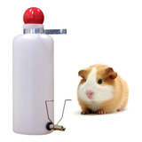 Bebedouro 500 Ml Chinchila Coelho Porquinho Da Índia Hamster