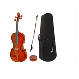 Viola De Arco Eagle Va150 Completa