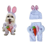 Roupa Pet Fantasia Coelhinha/coelha Páscoa Para Cão E Gato