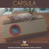 Capsula Toca Arranhador Papelao Artesanal Brinquedo Gato Pet