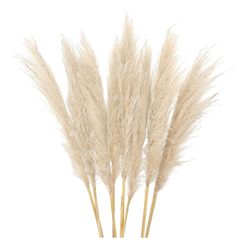 Pampas Secas Para Decoración ( 10 Piezas ) Tienda Oficial