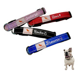 Vulpez Collar Perro Personalizable Ajustable Colores Gato