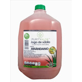 Purity Aloe Jugo De Sábila 98% Pulpa, Galón  Sabor Arándano
