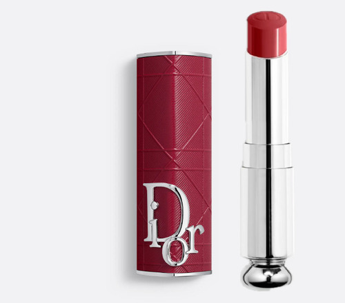 Dior Addict Lip Couture Case Tono Dior Ribbon-ed. Limitada