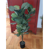 Ficus Lyrata Artificial 100 Cms