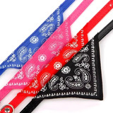 Collar Con Pañuelo Perro Mascotas Talle Pequeño Mini Bandana