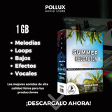 Samples Libreria De Sonidos Summer Reggaeton Loops Pro Audio