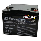 Bateria Probattery 12v 28ah Golfcar Silla De Ruedas