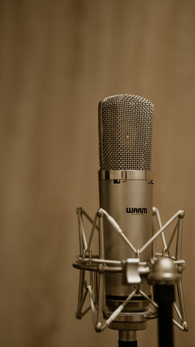 Microfono Condensador Warm Audio Wa67 