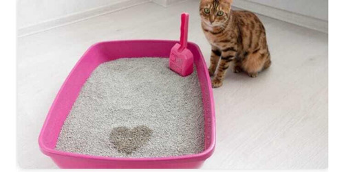 Arena Sanitaria Para Gatos 25kilos