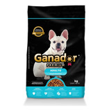 Alimento Ganador Premium Para Perro Adulto Raza Pequeña 2kg