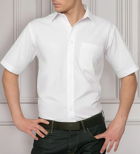 Camisa De Vestir Caballero Lavin Manga Corta 1 Pzs Fl | MercadoLibre