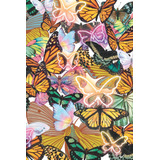 Cuaderno De Mariposas: Hermosa Portada Con Ilustraciones De