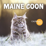Maine Coon Calendario 2022: Calendario 12 Meses 2022 - 8 5 X