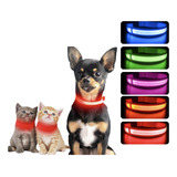 Collar Luz Led Recargable Usb Perros Y Gatos Paseo Nocturno