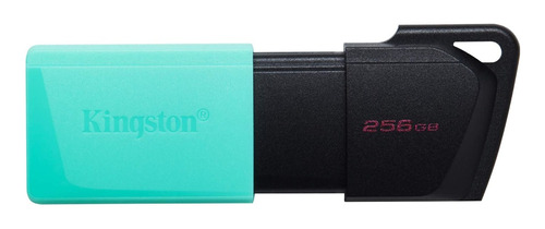 Memoria Usb 3.2 Gen1 256gb Kingston Datatraveler Exodia M