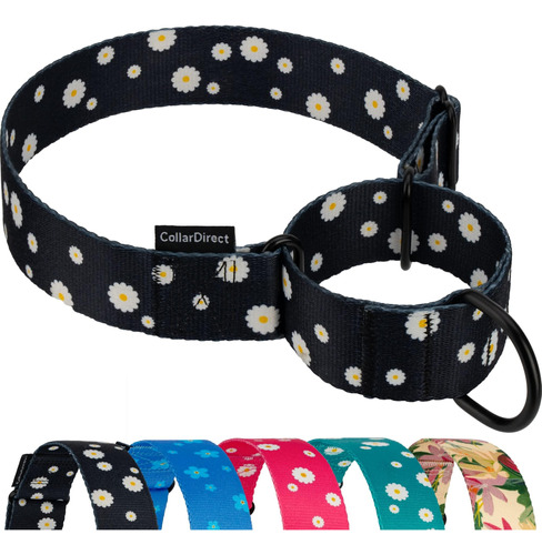 Collardirect Collares Martingale Para Perros, Resistente, Pa