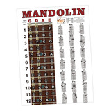 Guía De Referencia Del Póster De La Tabla De De Mandolina