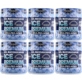 Kit 6 Gel Massageador Ice Premium Com Ora-pro-nóbis