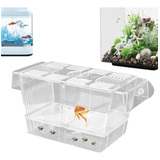 Caja De Tanques De Peces Pez Betta Peces Incubadora De Cría