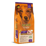 Ração Special Dog Ultralife Cães Adultos Raças Pequenas 1,0 