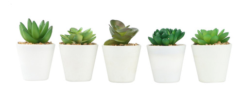 Set De 5 Plantas Suculentas Artificiales, Pequeñas Suculenta