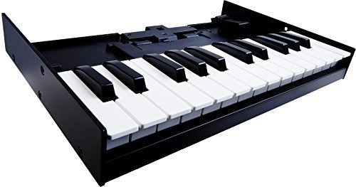 Controlador Midi Roland K-25m De 12 Teclas Usb -negro